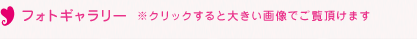 フォトギャラリー *クリックすると大きい画像でご覧いただけます