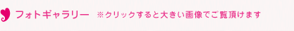 フォトギャラリー *クリックすると大きい画像でご覧いただけます